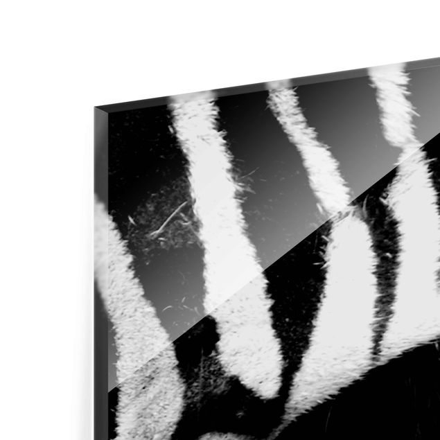 quadro em vidro Zebra Crossing