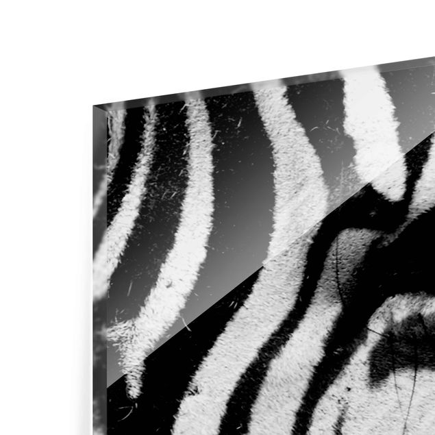 quadro em vidro Zebra Crossing