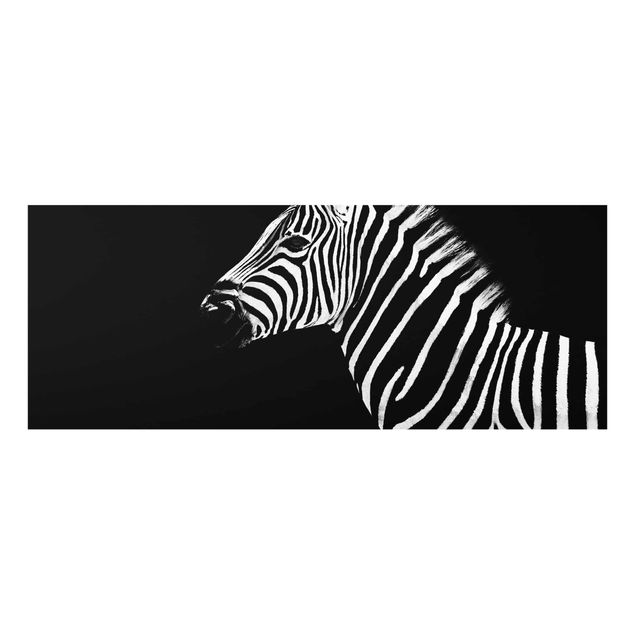 quadros modernos para quarto de casal Zebra Safari Art