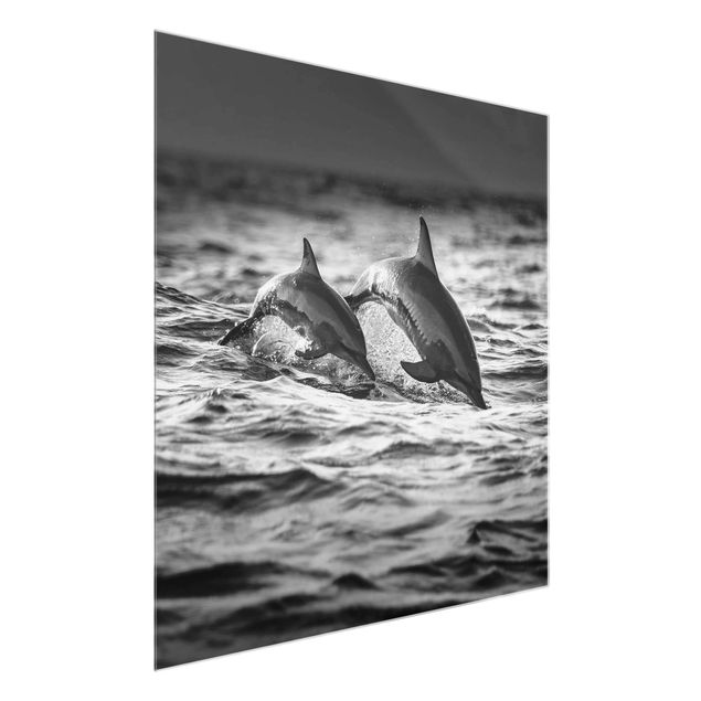 Quadros em vidro animais Two Jumping Dolphins