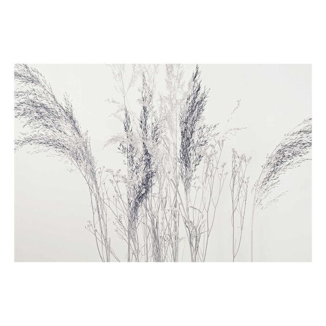 Quadros em cinza Variations Of Grass