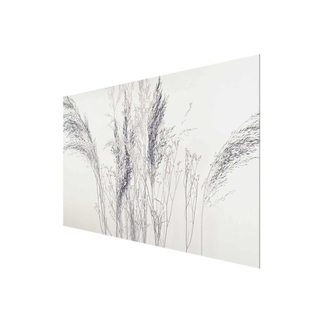 quadros para parede Variations Of Grass