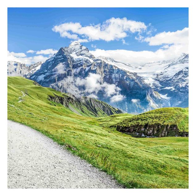Papel de parede paisagens Grindelwald Panorama