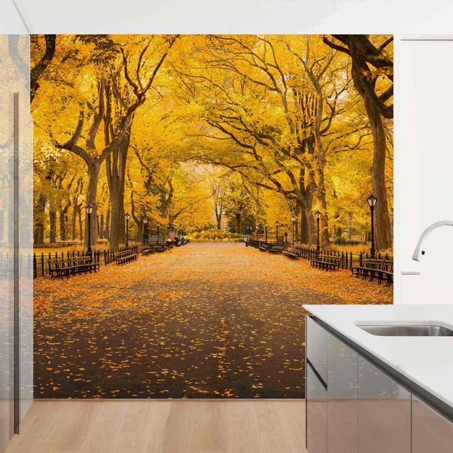 decoraçao para parede de cozinha Autumn In Central Park