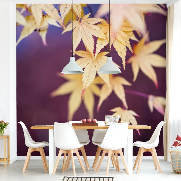 decoraçao para parede de cozinha Autumn Maple Tree
