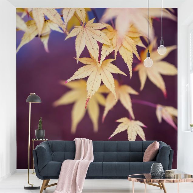 papel de parede urbano Autumn Maple Tree
