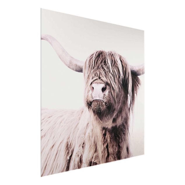 quadros decorativos para sala modernos Highland Cattle Frida In Beige