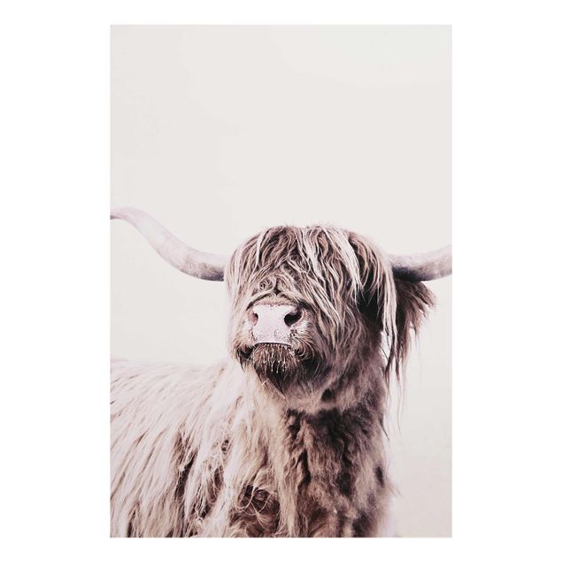 quadros em preto e branco Highland Cattle Frida In Beige