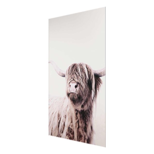 quadros para parede Highland Cattle Frida In Beige