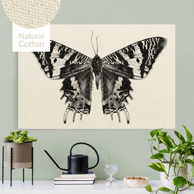 Telas decorativas borboletas Illustration Flying Madagascan Butterfly