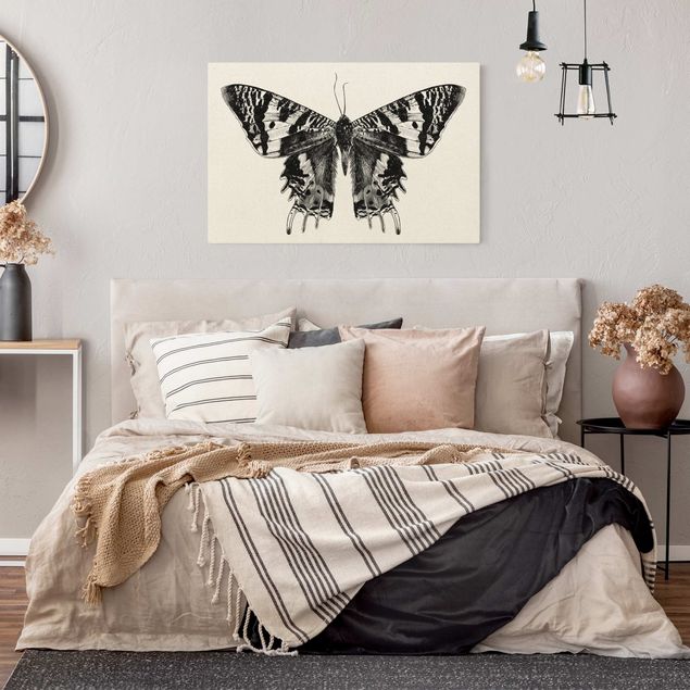 quadros modernos para quarto de casal Illustration Flying Madagascan Butterfly