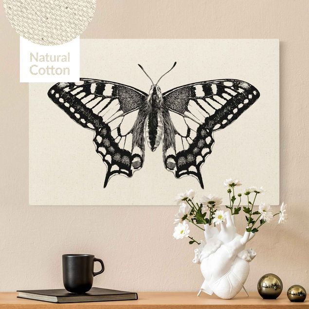 Telas decorativas borboletas Illustration Flying Dovetail Black