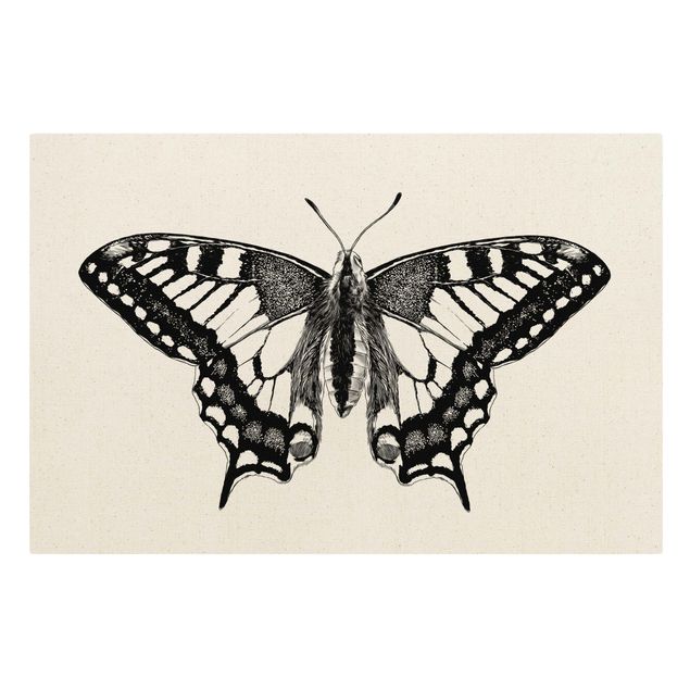 quadro animal Illustration Flying Dovetail Black
