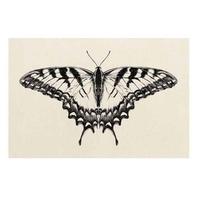 Telas decorativas animais Illustration Flying Tiger Swallowtail Black
