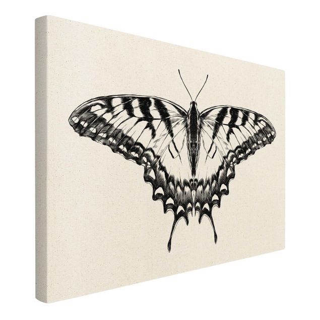 quadros decorativos para sala modernos Illustration Flying Tiger Swallowtail Black