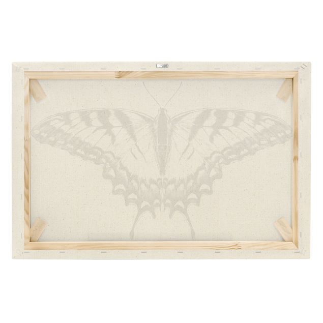 Quadros pretos Illustration Flying Tiger Swallowtail Black