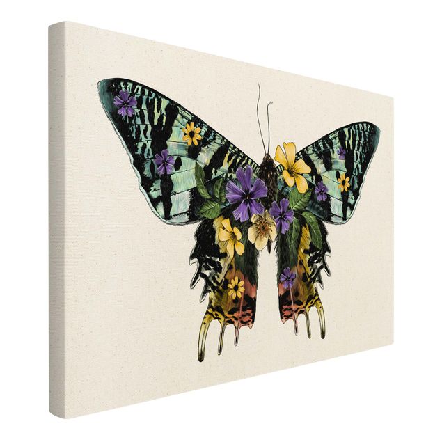 Quadros multicoloridos Illustration Floral Madagascan Butterfly