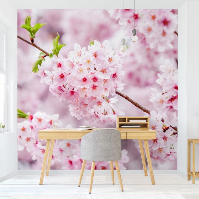 decoraçao cozinha Japanese Cherry Blossoms