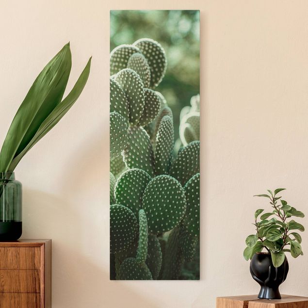 Telas decorativas flores Cacti