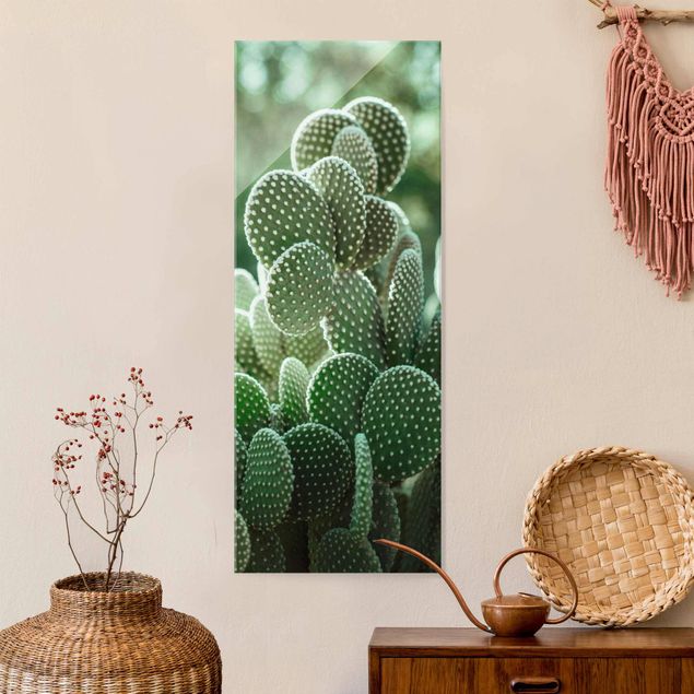 decoraçao cozinha Cacti