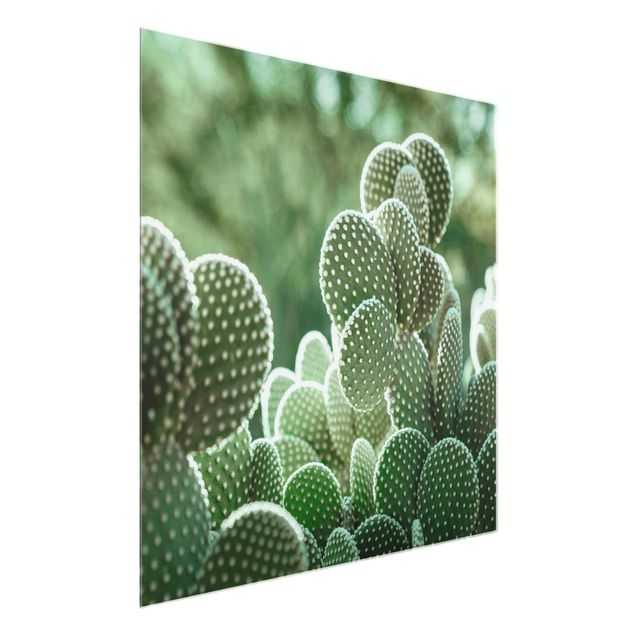 quadros flores Cacti