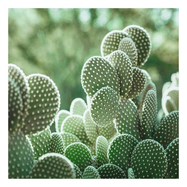 quadro decorativo verde Cacti