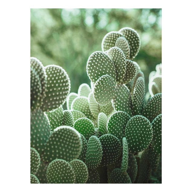 quadro decorativo verde Cacti