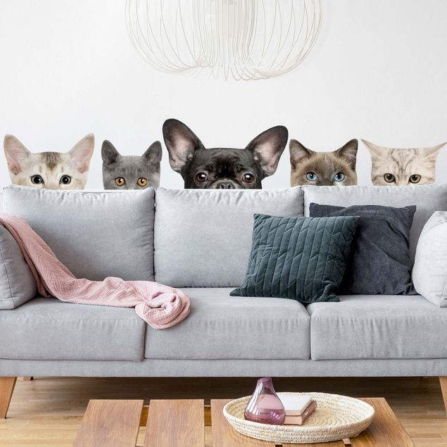 Autocolantes de parede gatos Cats with dog look