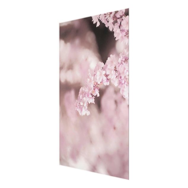 quadros para parede Cherry Blossoms In Purple Light