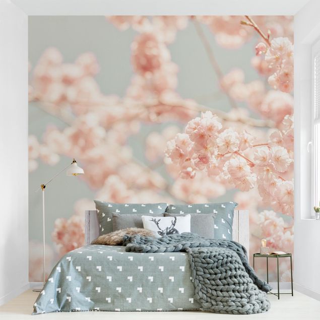 papel de parede moderno para sala Cherry Blossom Glow
