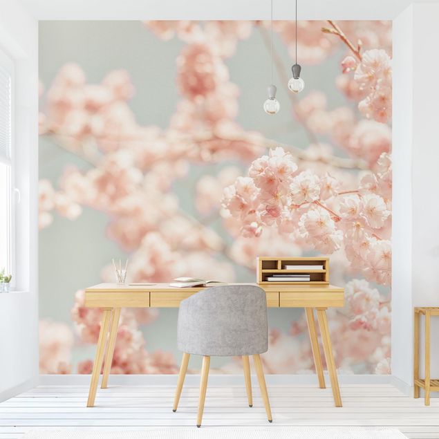 Papel de parede estilo rústico Cherry Blossom Glow