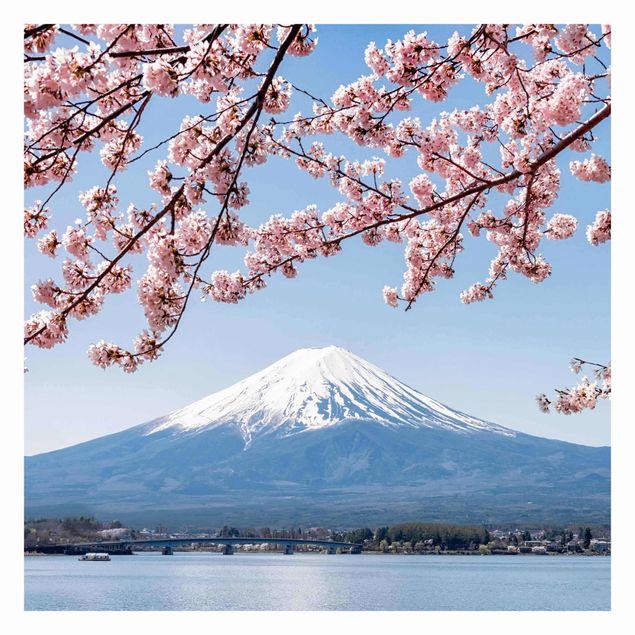 Papel de parede azul Cherry Blossoms With Mt. Fuji