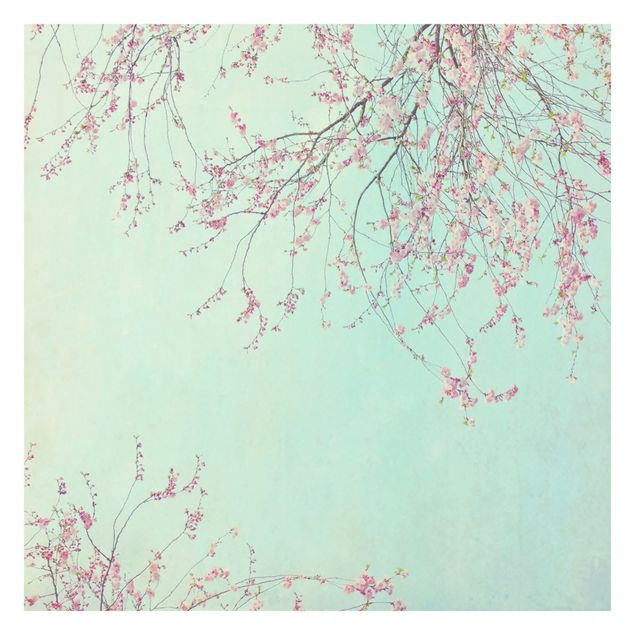 Mural de parede Cherry Blossom Yearning