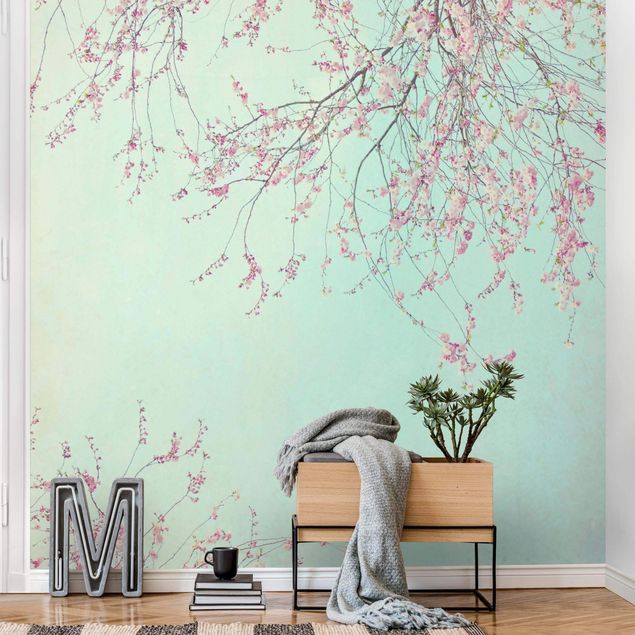 papel parede de flor Cherry Blossom Yearning