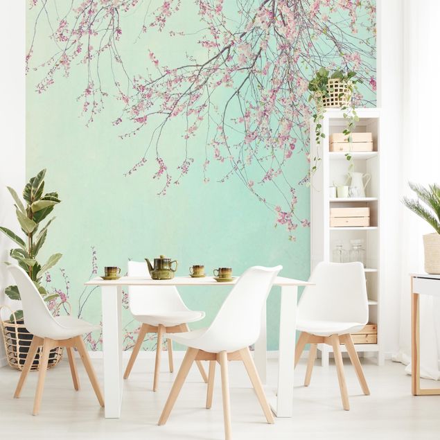 papel de parede com azul turquesa Cherry Blossom Yearning