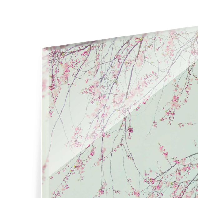 quadro de vidro Cherry Blossom Yearning
