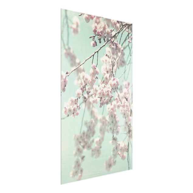 quadro com flores Dancing Cherry Blossoms On Canvas