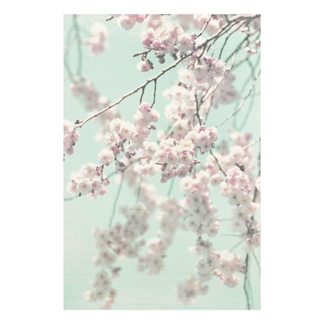 Quadros decorativos Dancing Cherry Blossoms On Canvas