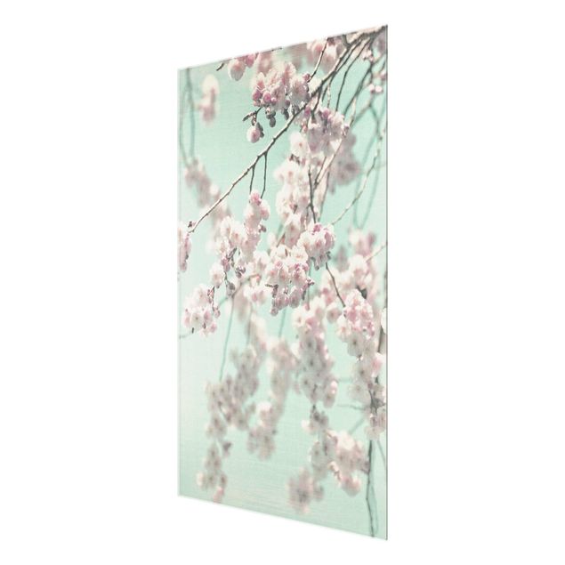 quadro de vidro Dancing Cherry Blossoms On Canvas