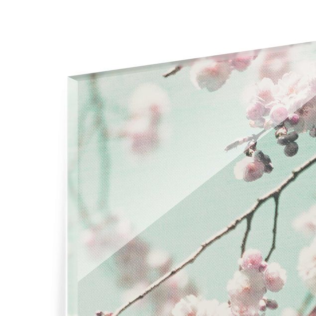 Quadros em vidro Dancing Cherry Blossoms On Canvas