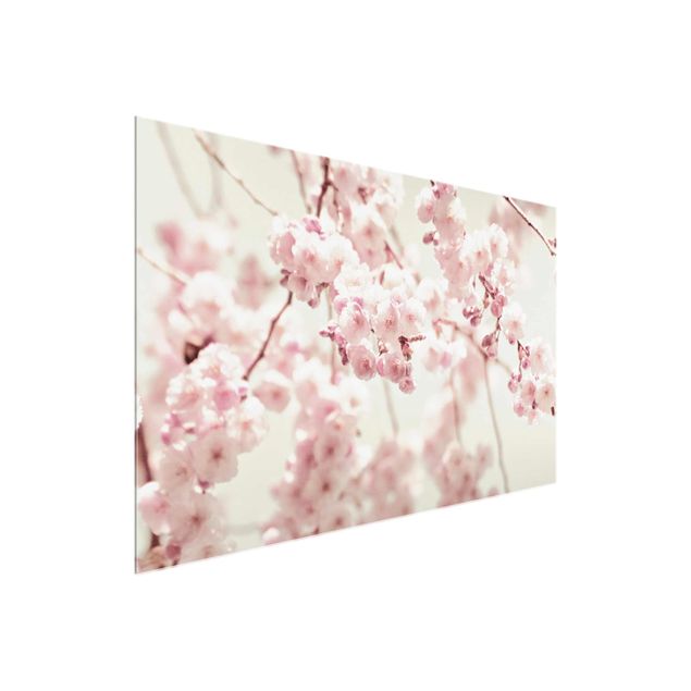 quadros flores Dancing Cherry Blossoms