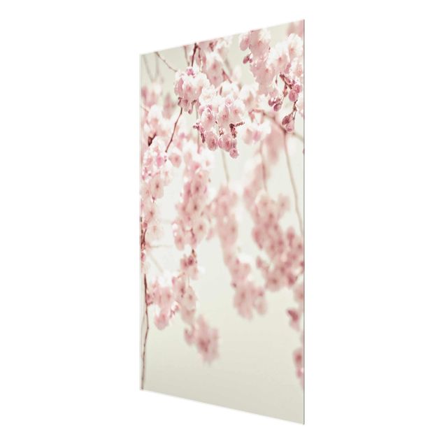 quadro em vidro Dancing Cherry Blossoms