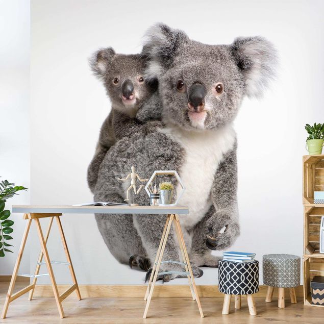papel de parede moderno Koala Bears