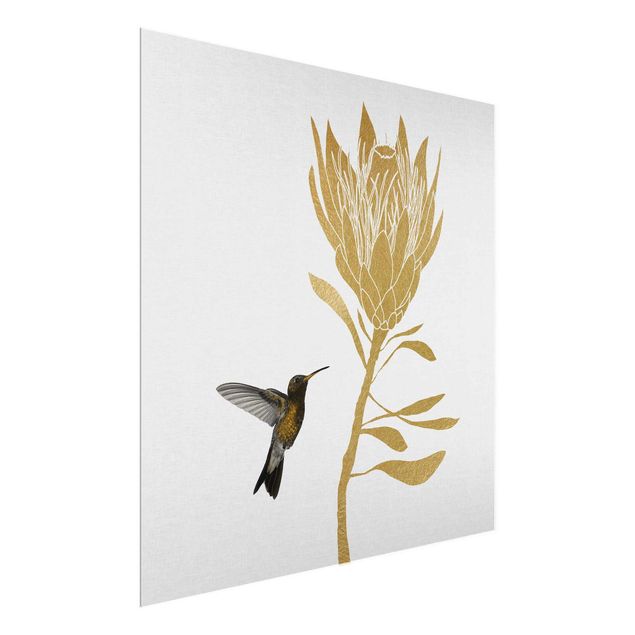 quadro com flores Hummingbird And Tropical Golden Blossom