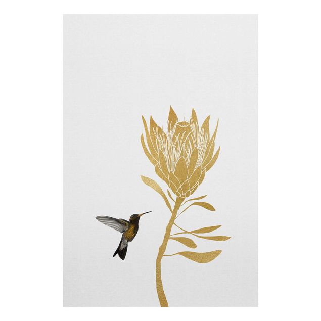 Quadros decorativos Hummingbird And Tropical Golden Blossom