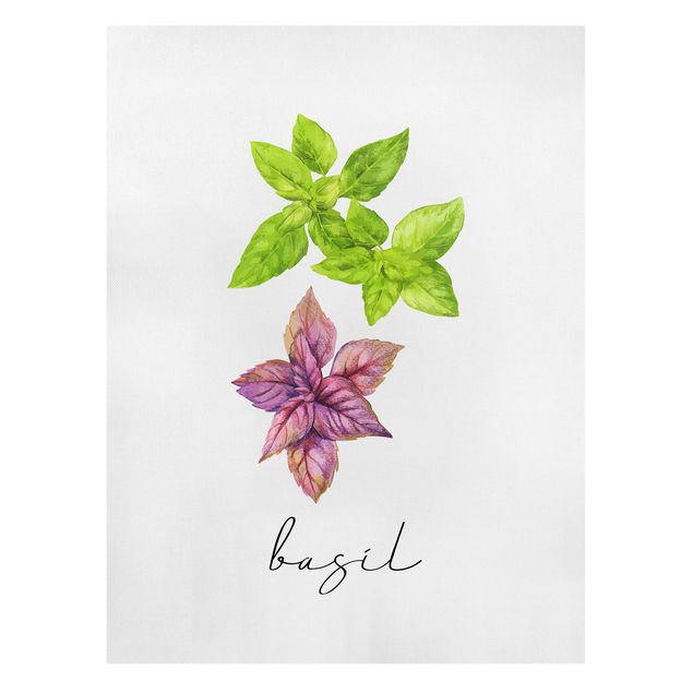 Telas decorativas temperos e ervas aromáticas Herbs Illustration Basil