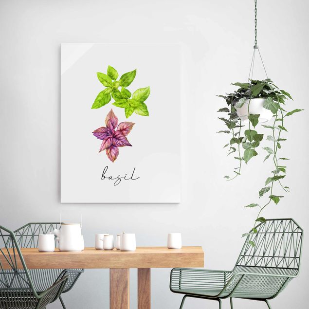 Quadros em vidro flores Herbs Illustration Basil