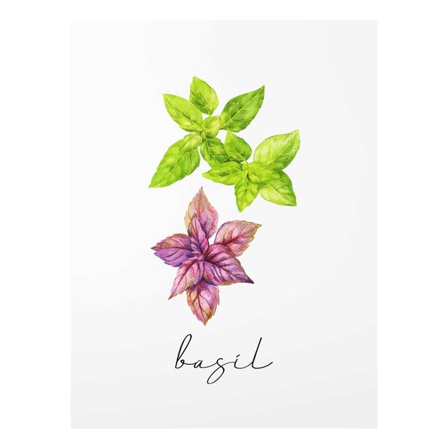 quadro decorativo verde Herbs Illustration Basil