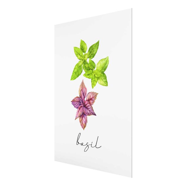 quadros para parede Herbs Illustration Basil