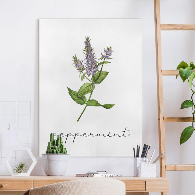 decoraçoes cozinha Herbs Illustration Pepper Mint